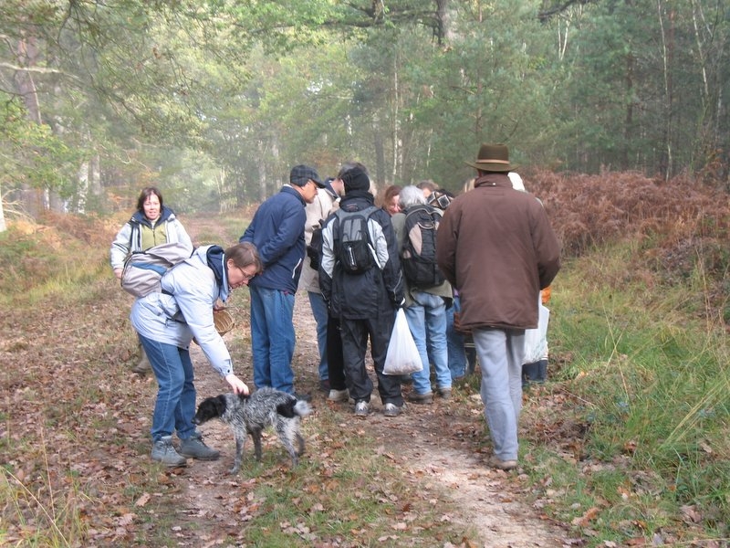 2006 11 Mycobocquet 20